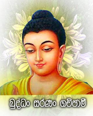 15622488_568563413339611_4936859852595177669_n