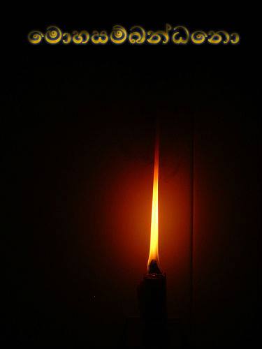 15726466_572076019655017_8423125391720286392_n